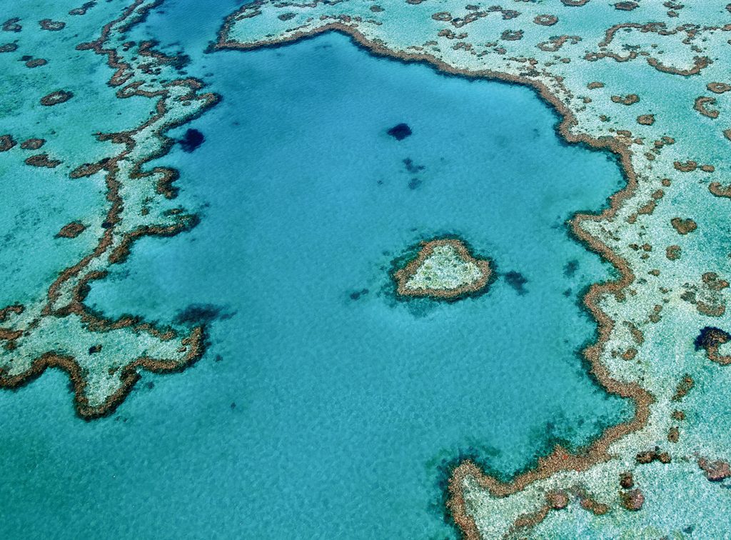 Corais na Austrália